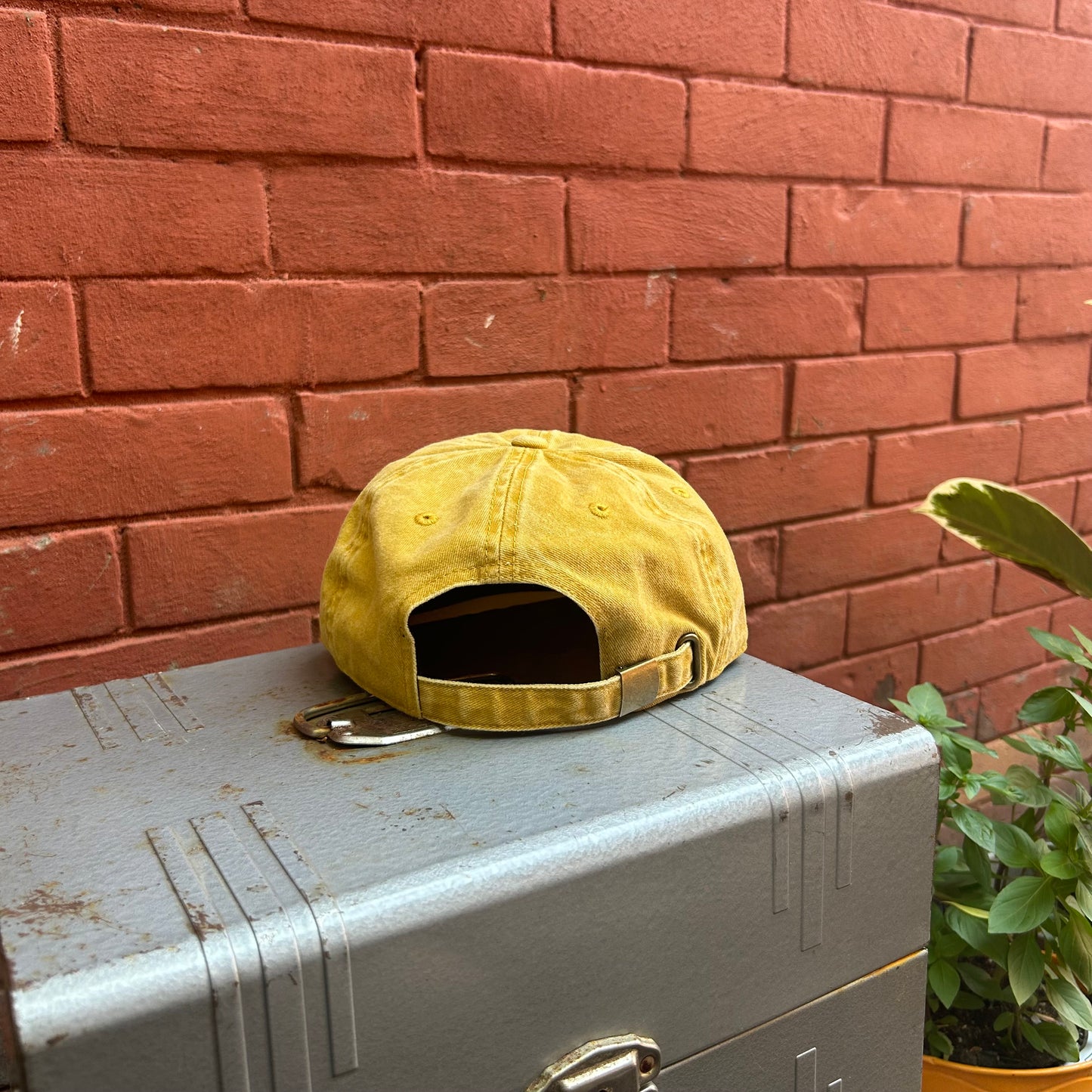 Beart - Six Panel Dad Cap - Mustard