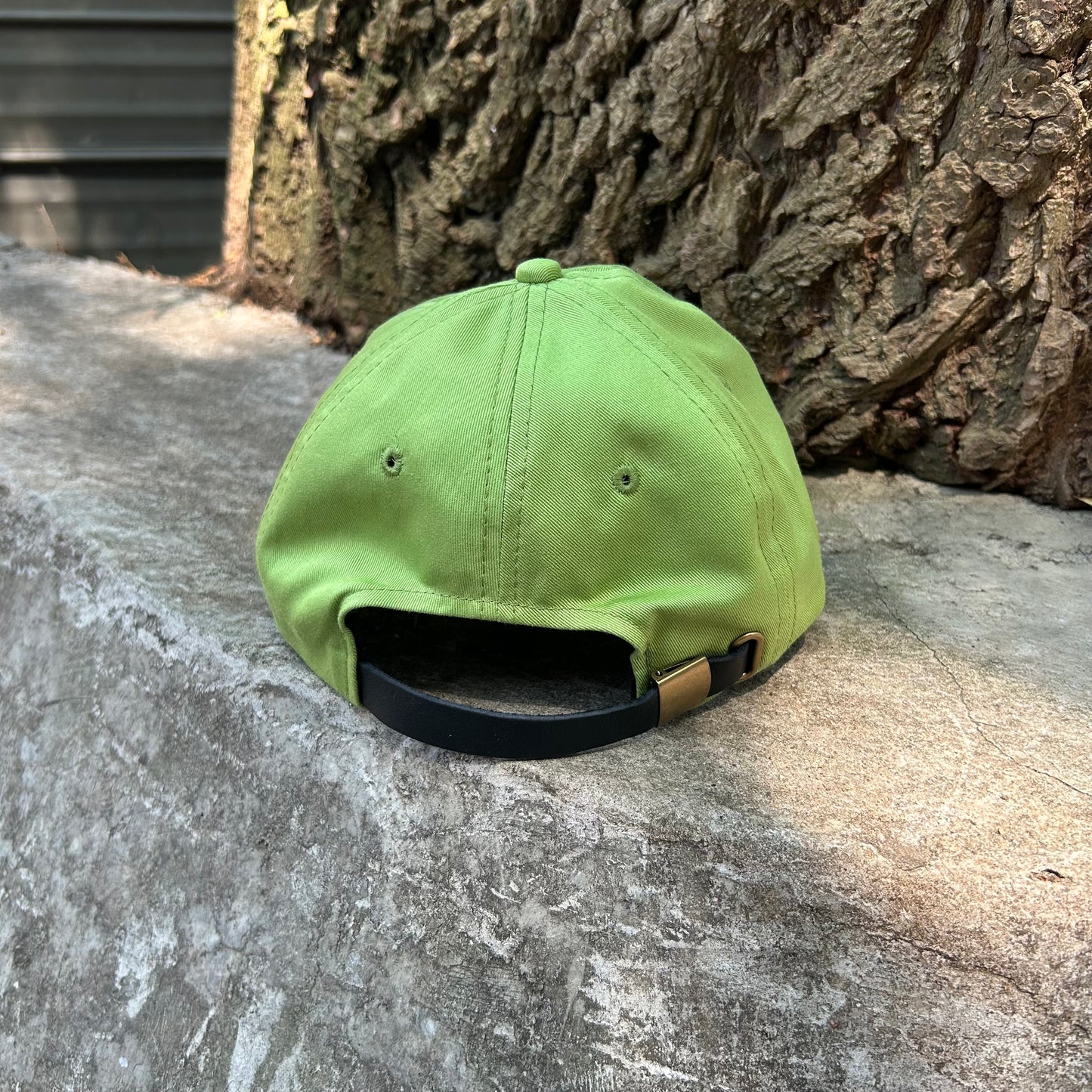 Beart - Six Panel Cap - Avocado
