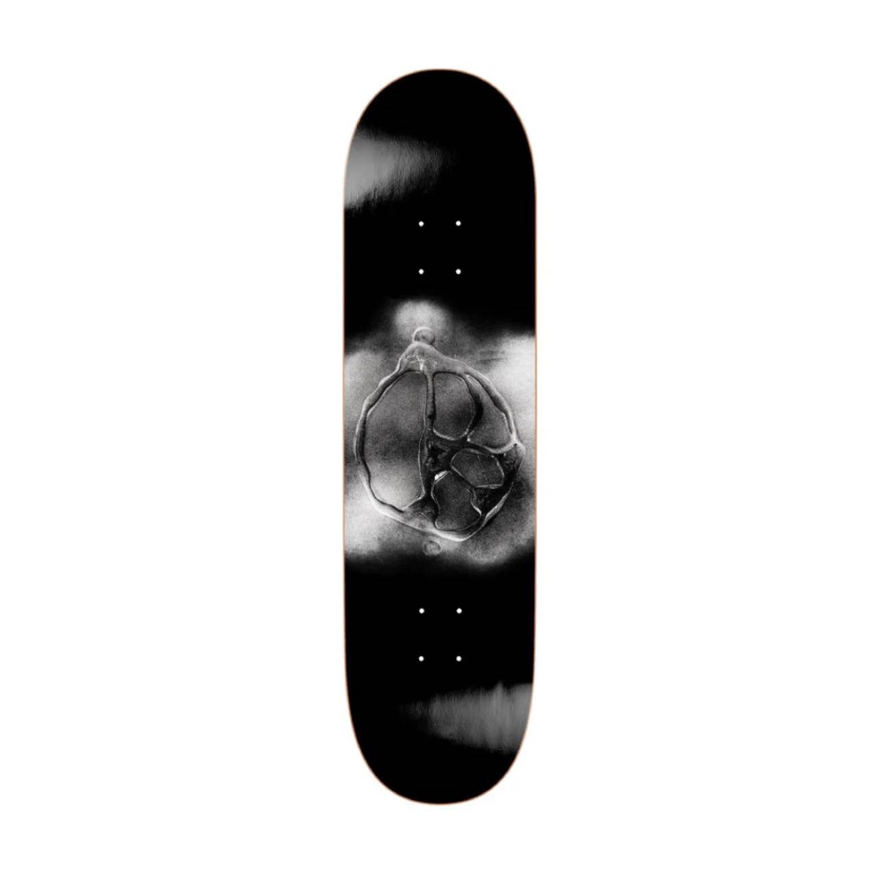 Polar - Stroke Logo Black - 8.25"