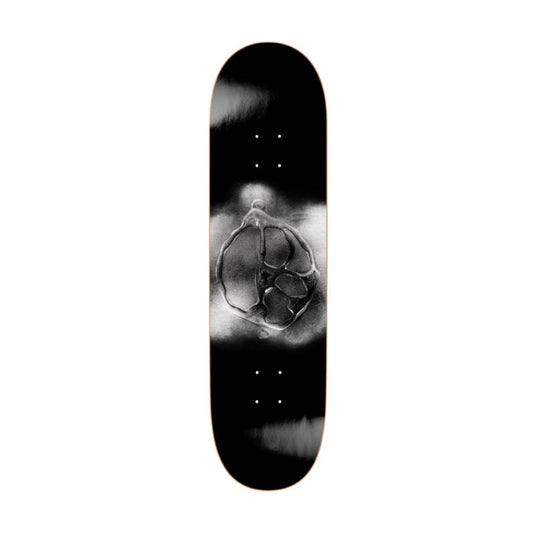 Polar - Stroke Logo Black - 8.25"