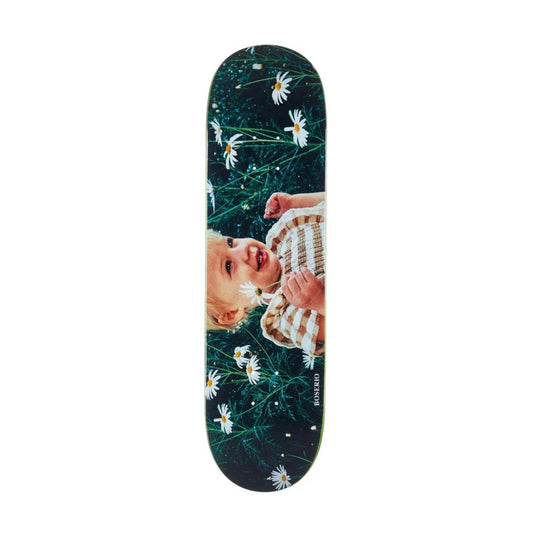 Polar - Broserio Cleo & Daisy - 8.5"