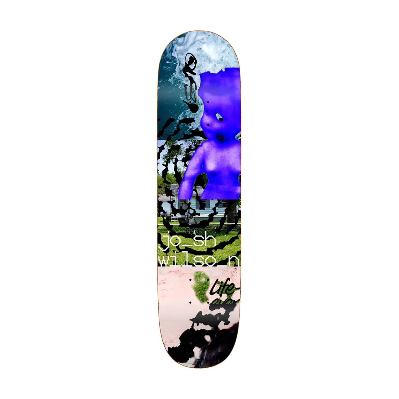 Quasi - Wilson Need More - 8"