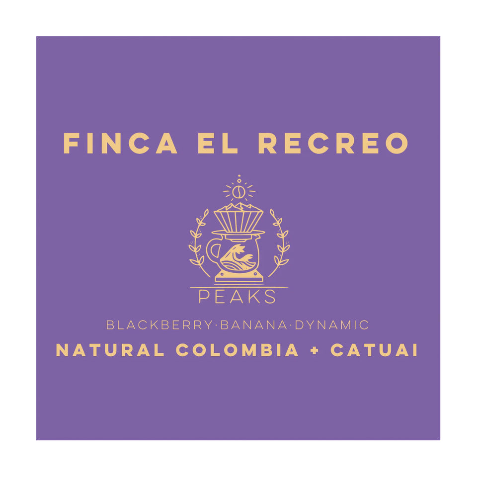 Lulo - Finca El Recreo Natural Colombia + Catuai Whole Beans - 250g