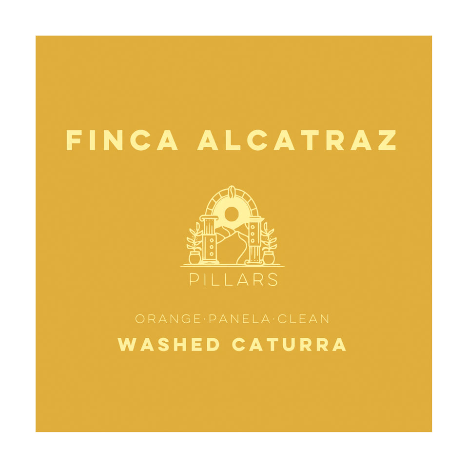 Lulo - Finna Alcatraz Washed Caturra Whole Beans - 250g